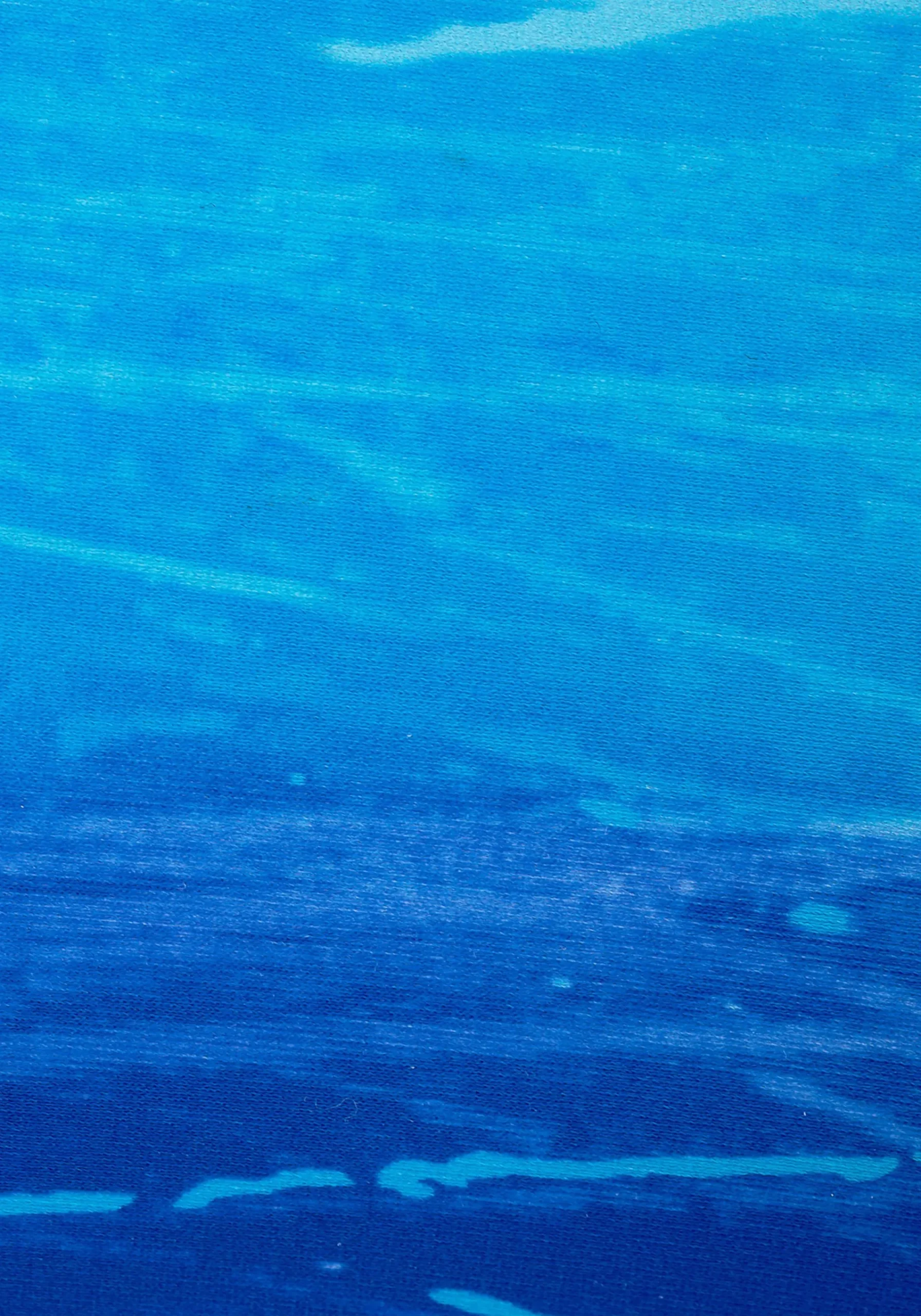 Badeanzüge|LASCANA Badeanzug blau-bedruckt