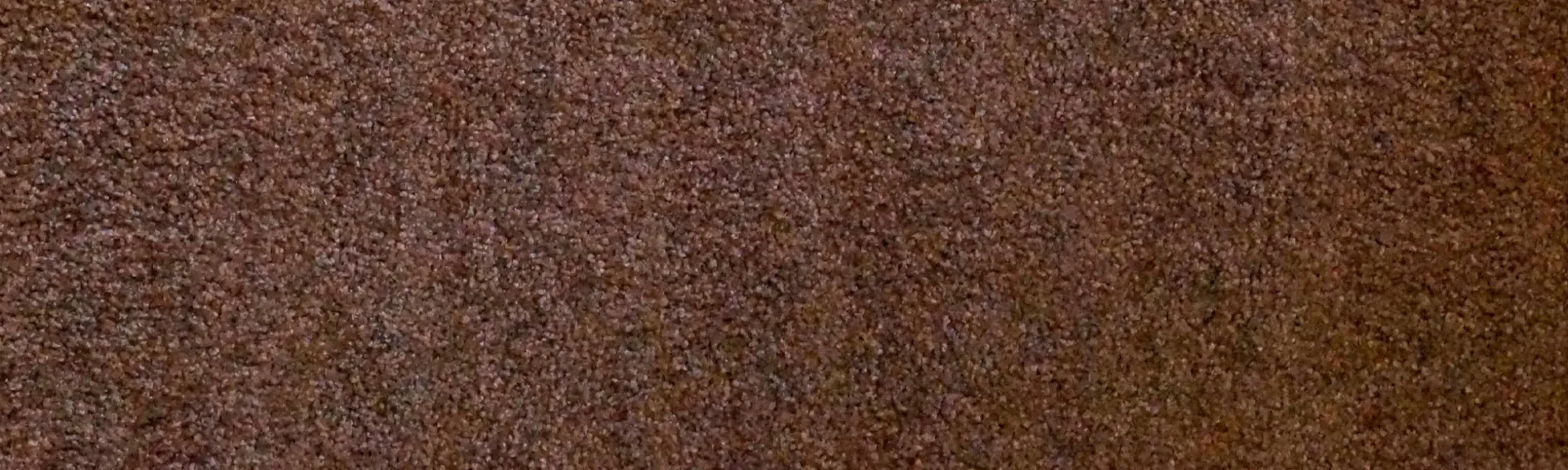 Fußmatten|Salonloewe Fußmatte nougat
