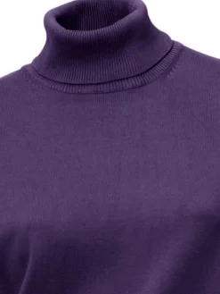 Pullover|heine Rollkragenpullover in Feinstrick-Qualität pflaume