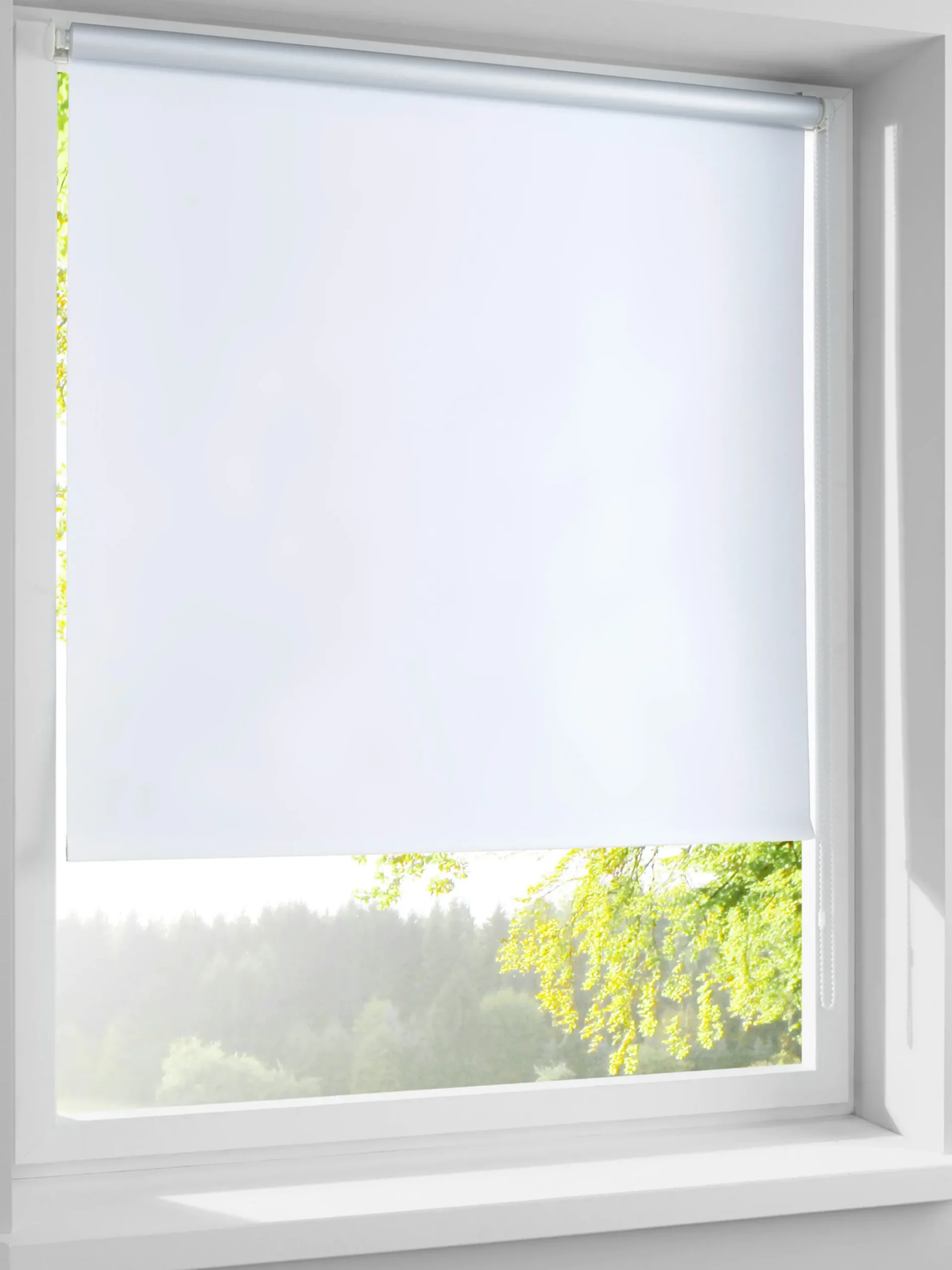 Gardinen & Rollos|heine home Rollo weiß